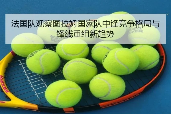法国队观察图拉姆国家队中锋竞争格局与锋线重组新趋势